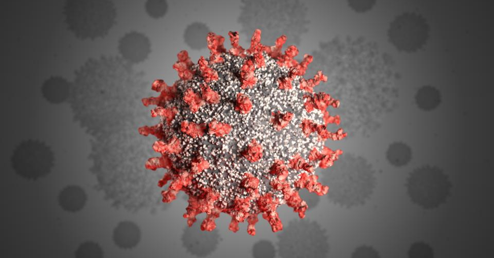 The Most Popular Items During COVID-19