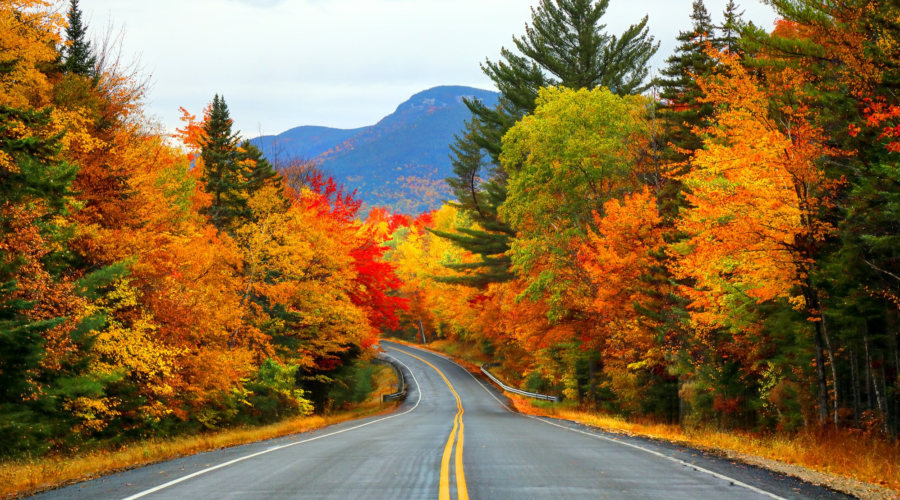 A Patriotic Drive; Visiting New England in the Fall