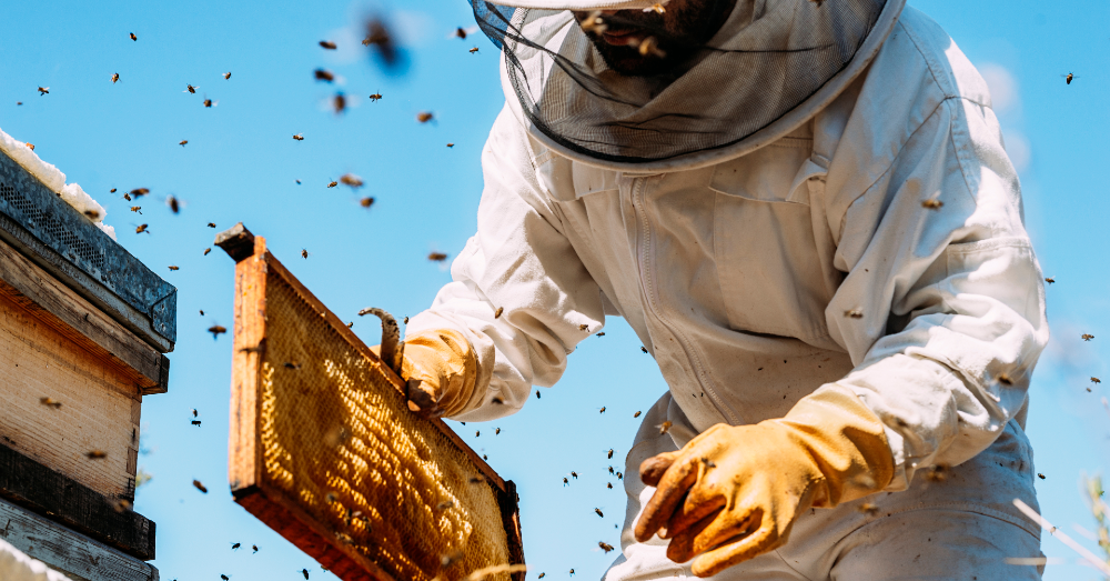 5 Things Beekeeping Does For You!