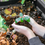 What is Composting and How Do I Do It?