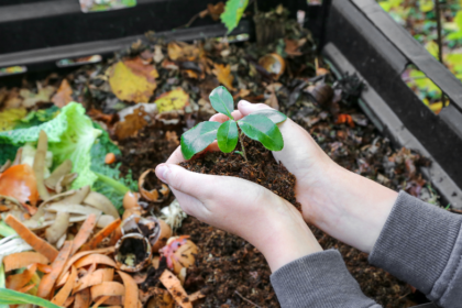 What is Composting and How Do I Do It?