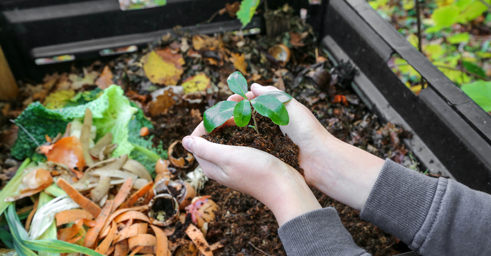 What is Composting and How Do I Do It?