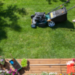 10 Essential Lawn Care Tools for New Homeowners