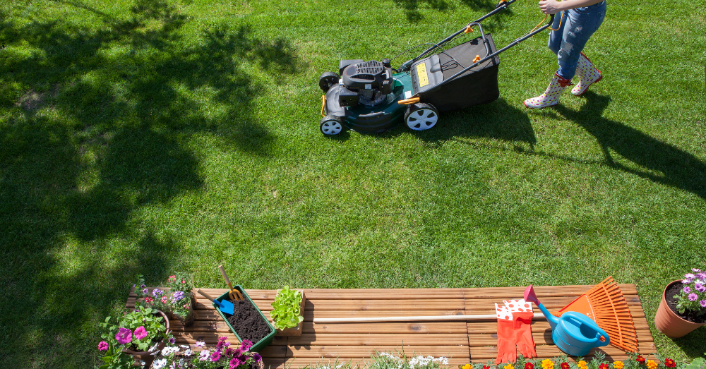10 Essential Lawn Care Tools for New Homeowners