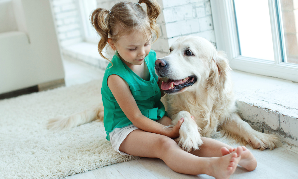 What Are the Best Pets to Have Around Small Children?