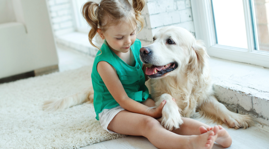 What Are the Best Pets to Have Around Small Children?