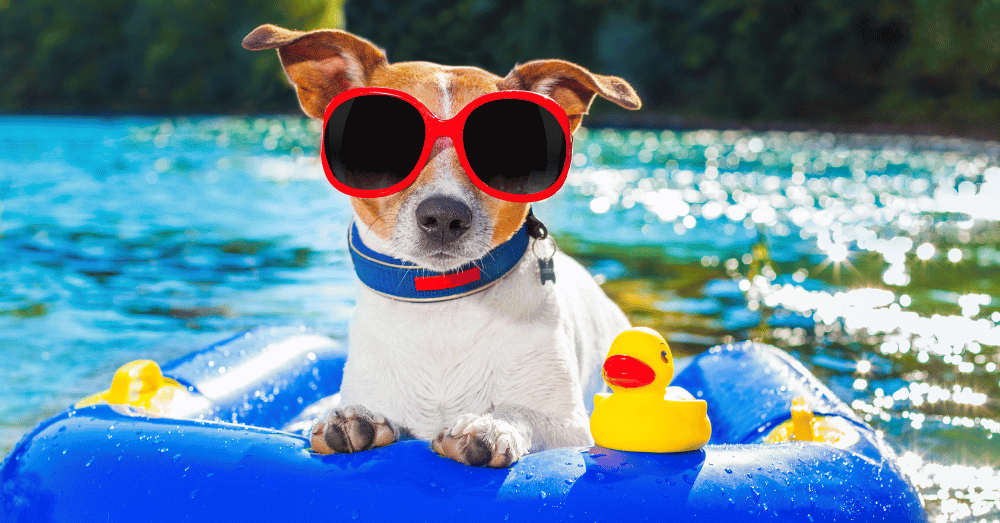 5 great summer hobbies - banner