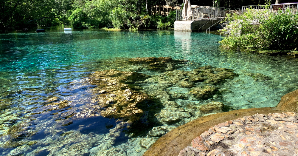 Top 7 Things to Do in Florida This Summer