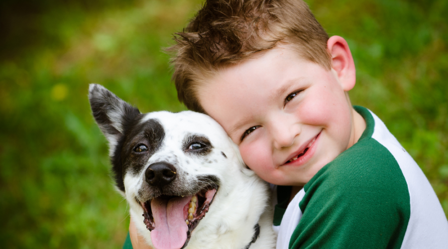 Introduce Your Children to Caring for Animals with These Fantastic Pets