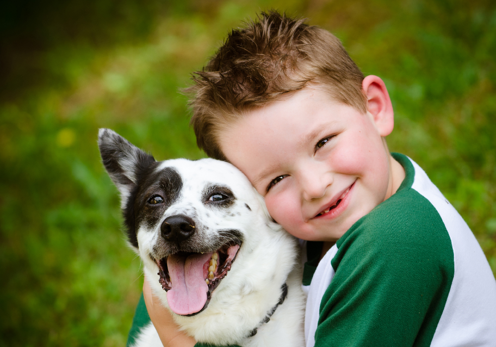 Introduce Your Children to Caring for Animals with These Fantastic Pets