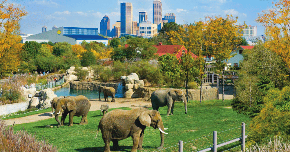 5 Things to Do Around Indianapolis - Indianapolis Zoo
