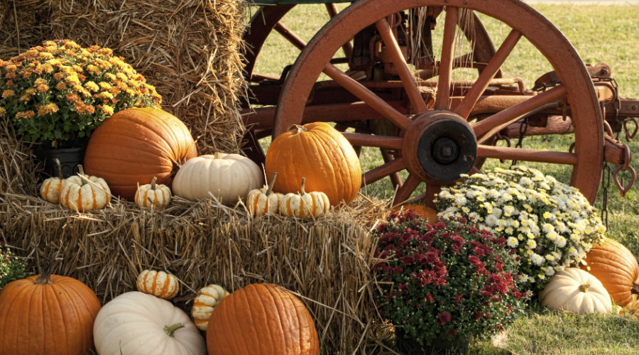 Feast Your Senses on These Top 7 Fall Festivals in the United States