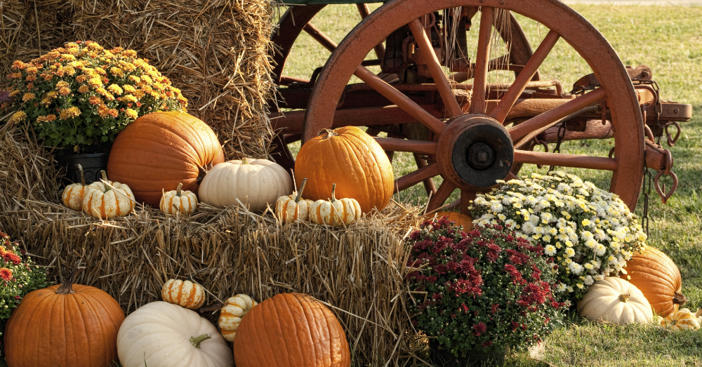 Feast Your Senses on These Top 7 Fall Festivals in the United States