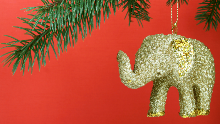 Top Picks for Your White Elephant Gift Exchange this Year