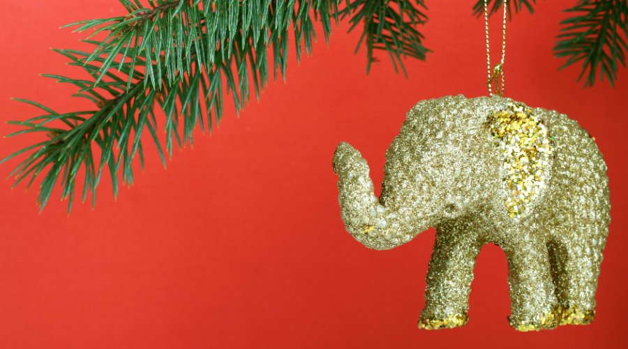 Top Picks for Your White Elephant Gift Exchange this Year