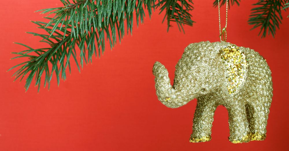 Top Picks for Your White Elephant Gift Exchange this Year