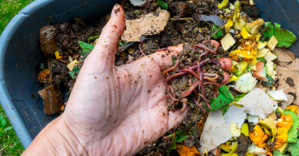 Building a Compost Bin: Easy DIY Projects for Beginners