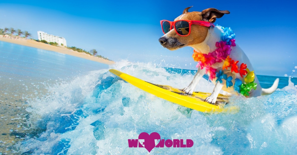 Summer Fitness Fun Best Outdoor Activities to Keep Active