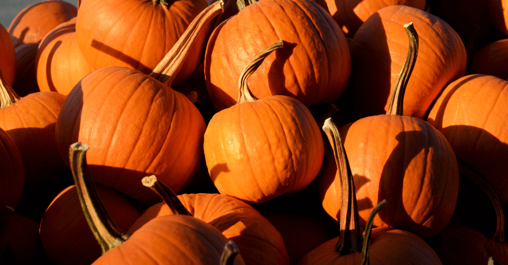 Pumpkin-Based Recipes for Fall: Savory, Sweet, and Cozy