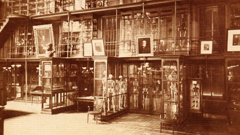 Museums That Make You Want to Avoid Going to the Doctor - featured image Mütter Museum