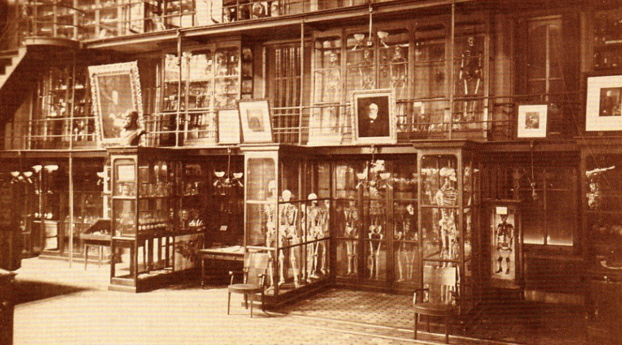 Museums That Make You Want to Avoid Going to the Doctor - featured image Mütter Museum