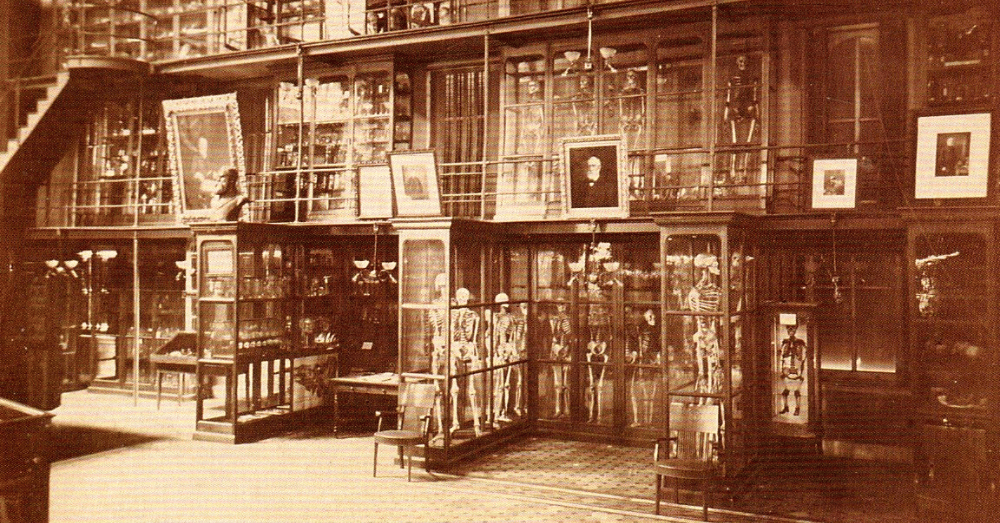 Museums That Make You Want to Avoid Going to the Doctor - featured image Mütter Museum